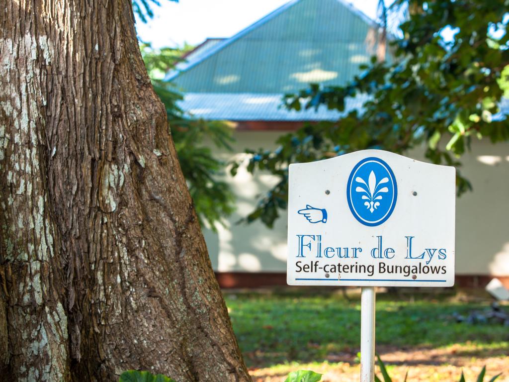 Fleur de Lys - Photo 5