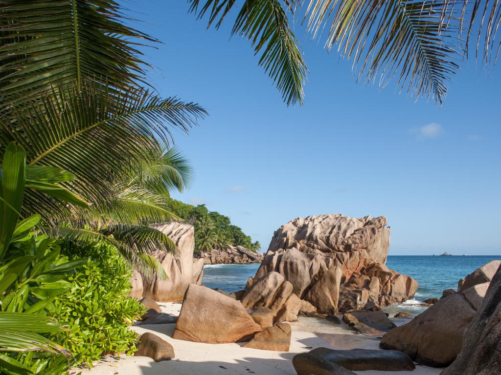 Fleur de Lys - Photo 3