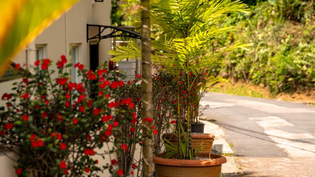 Photo 28: Sunset View Self Catering - Mahé (Seychelles)