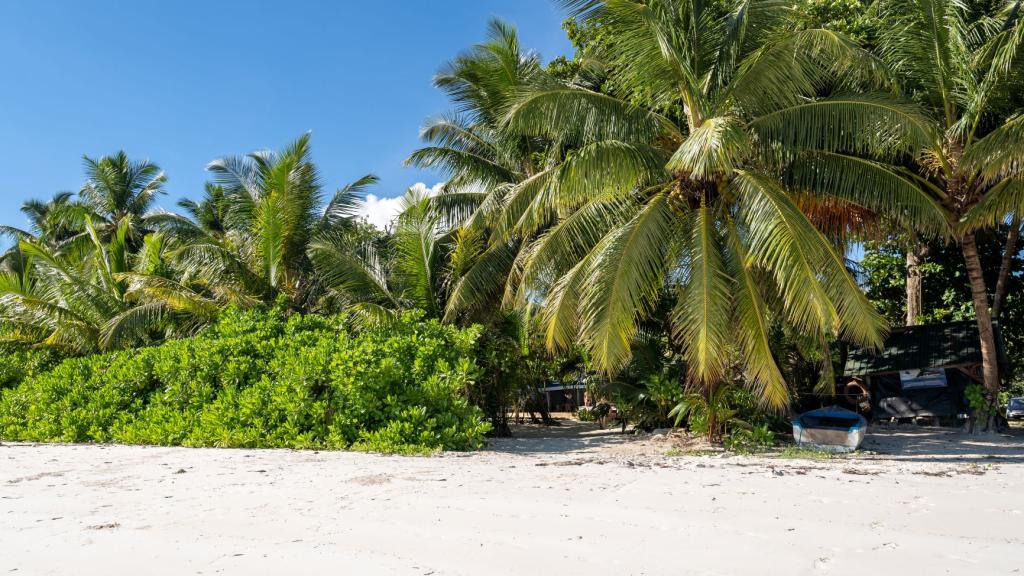 Foto 37: Bliss Hotel Praslin - Praslin (Seychellen)