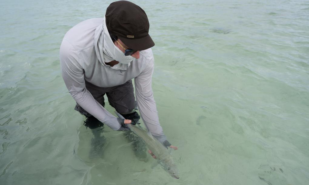 Cosmoledo Eco Camp - Eco Pod Fishing Package