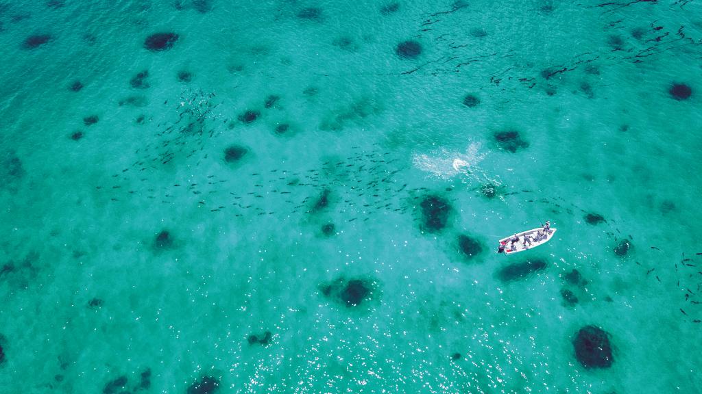 Photo 17: Cosmoledo Eco Camp - Cosmoledo (Seychelles)