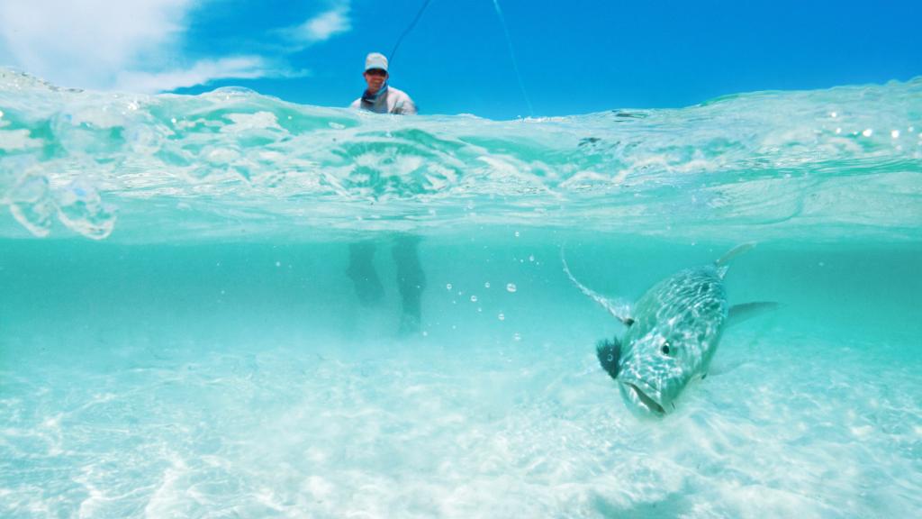 Photo 18: Cosmoledo Eco Camp - Cosmoledo (Seychelles)