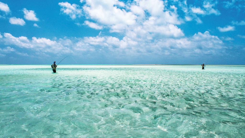 Photo 19: Cosmoledo Eco Camp - Cosmoledo (Seychelles)