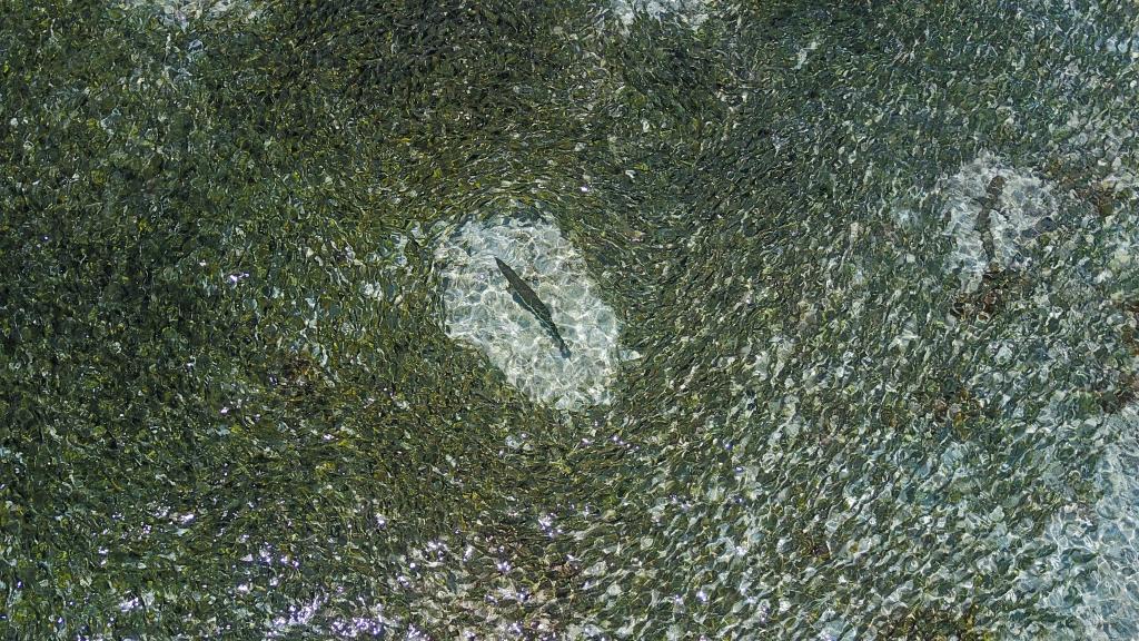 Photo 67: Cosmoledo Eco Camp - Cosmoledo (Seychelles)