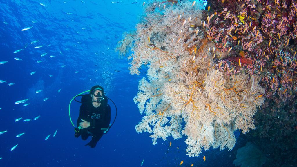 Photo 25: Cosmoledo Eco Camp - Cosmoledo (Seychelles)