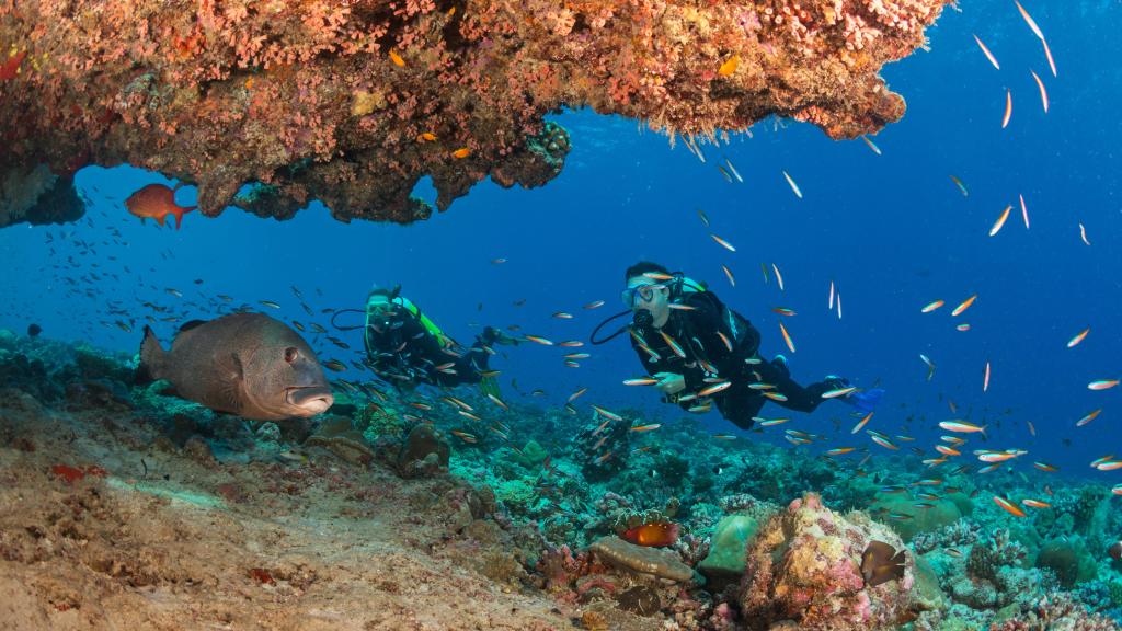 Photo 33: Cosmoledo Eco Camp - Cosmoledo (Seychelles)