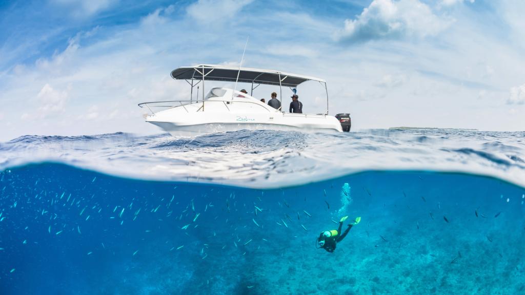 Photo 35: Cosmoledo Eco Camp - Cosmoledo (Seychelles)