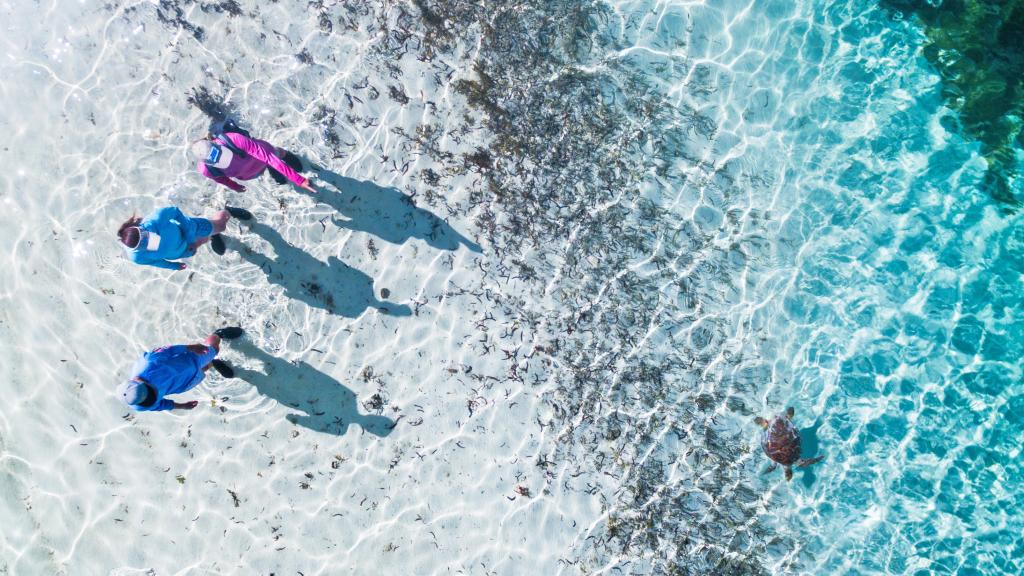 Photo 21: Cosmoledo Eco Camp - Cosmoledo (Seychelles)