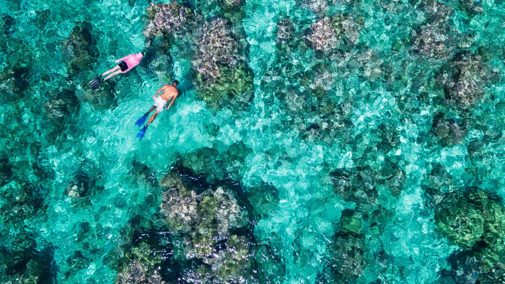 Photo 45: Cosmoledo Eco Camp - Cosmoledo (Seychelles)