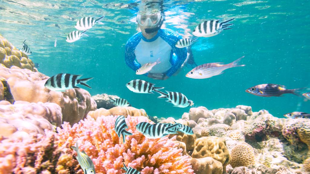 Photo 47: Cosmoledo Eco Camp - Cosmoledo (Seychelles)