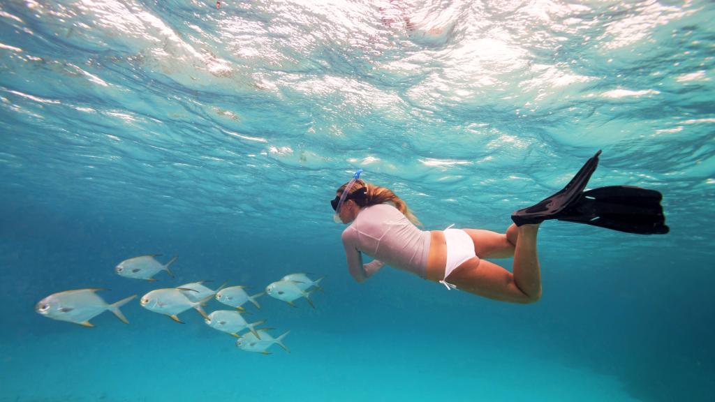 Photo 48: Cosmoledo Eco Camp - Cosmoledo (Seychelles)