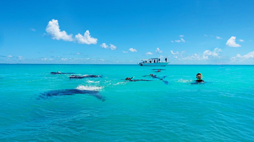 Photo 49: Cosmoledo Eco Camp - Cosmoledo (Seychelles)