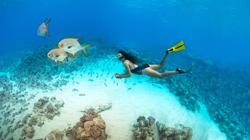 Photo 50: Cosmoledo Eco Camp - Cosmoledo (Seychelles)