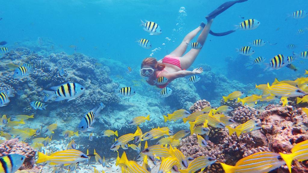 Foto 51: Cosmoledo Eco Camp - Cosmoledo (Seychelles)