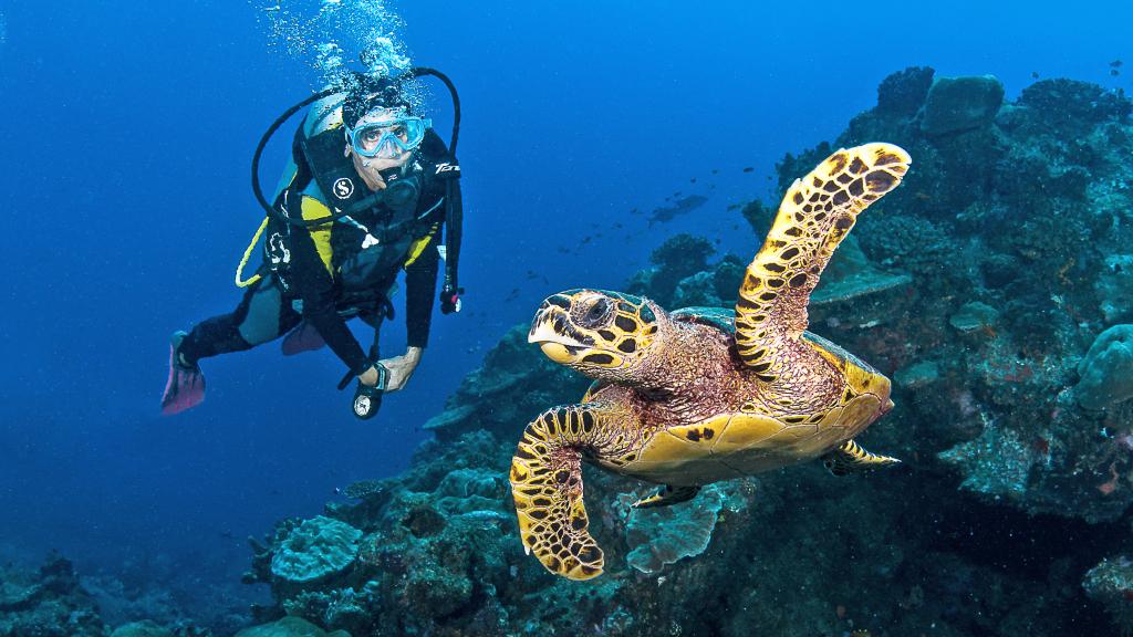 Photo 53: Cosmoledo Eco Camp - Cosmoledo (Seychelles)