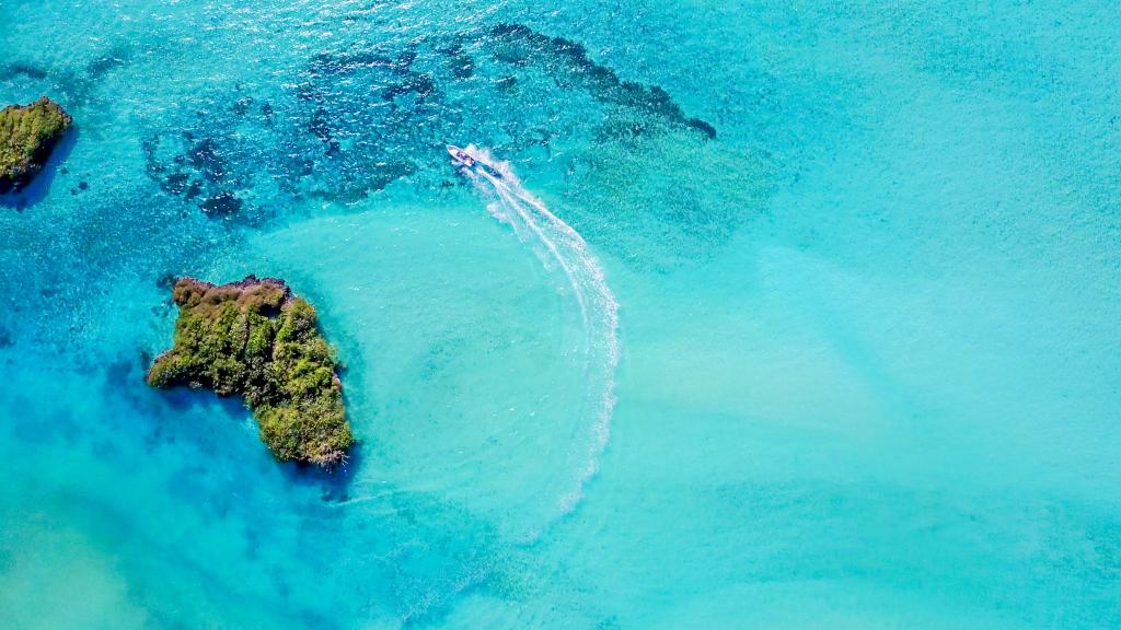 Photo 10: Cosmoledo Eco Camp - Cosmoledo (Seychelles)