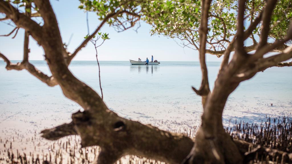 Photo 68: Cosmoledo Eco Camp - Cosmoledo (Seychelles)