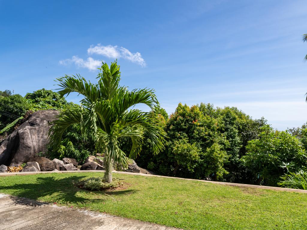 Bella Vista - Photo 9