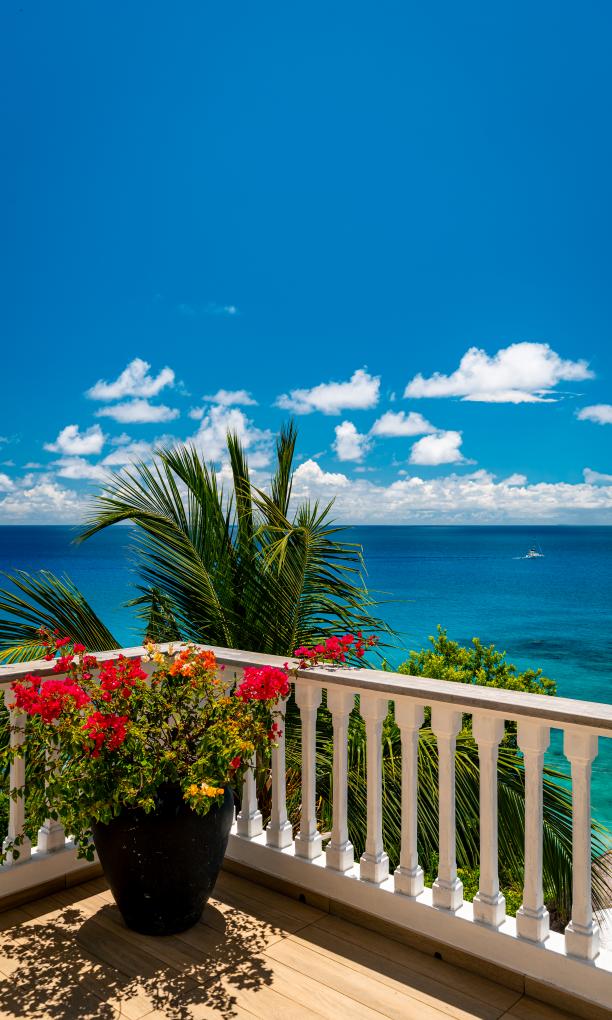 Bella Vista
