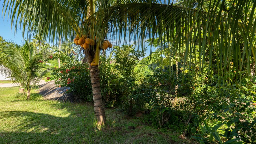 Foto 26: Julie's Holiday Home - Mahé (Seychelles)