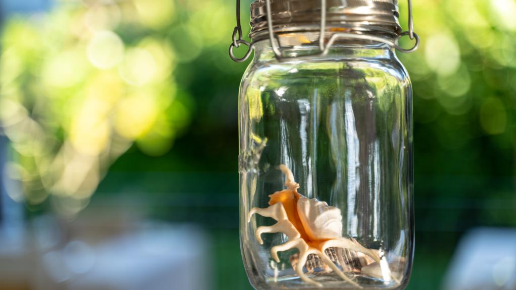 Foto 27: Auberge Chez Plume - Mahé (Seychelles)