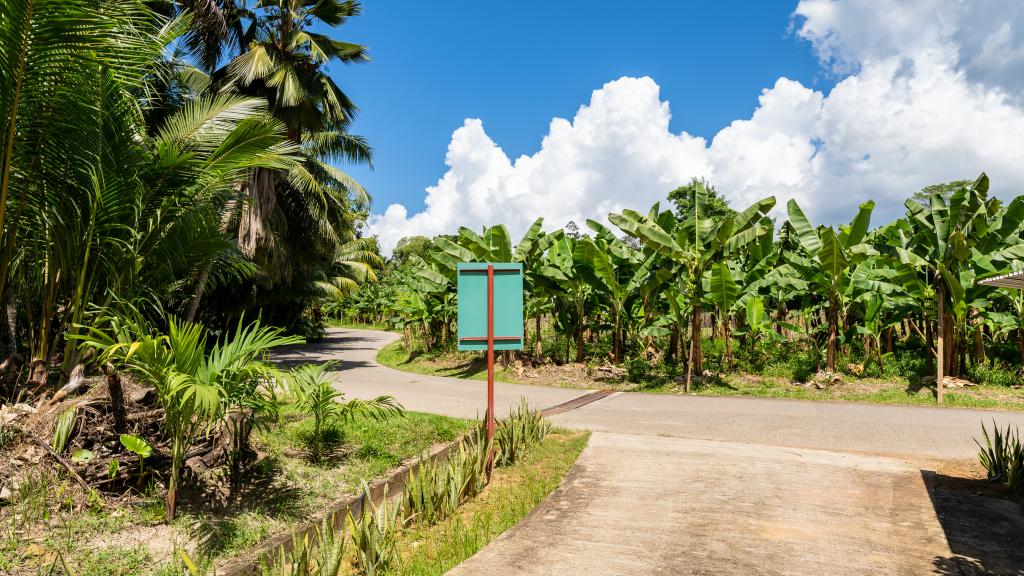 Photo 12: Kanasuk Self Catering Apartments - Mahé (Seychelles)