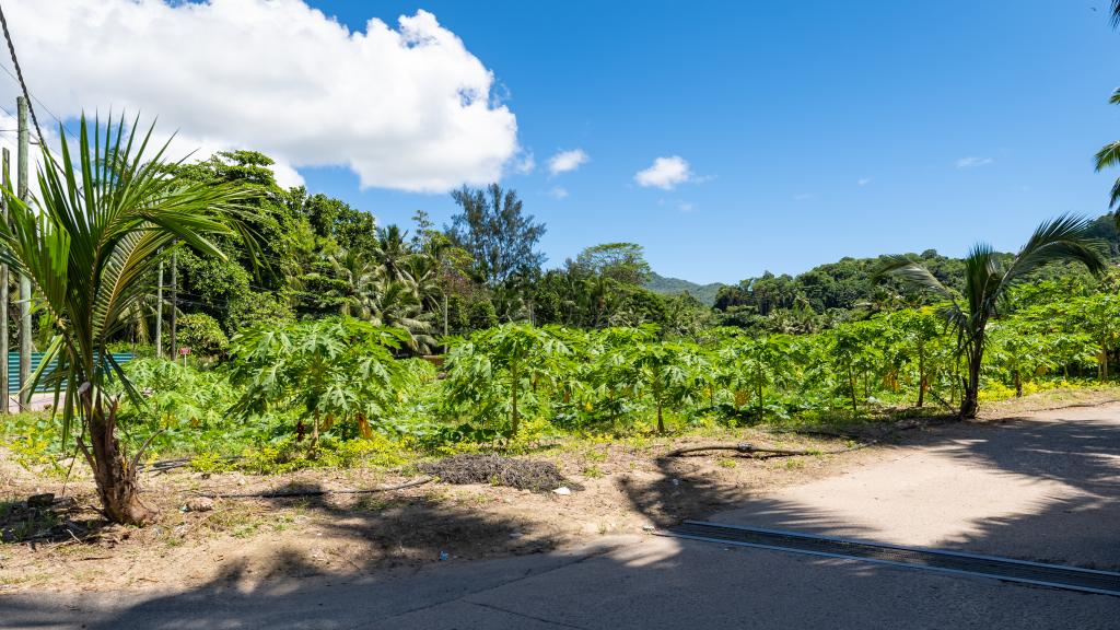 Photo 10: Kanasuk Self Catering Apartments - Mahé (Seychelles)