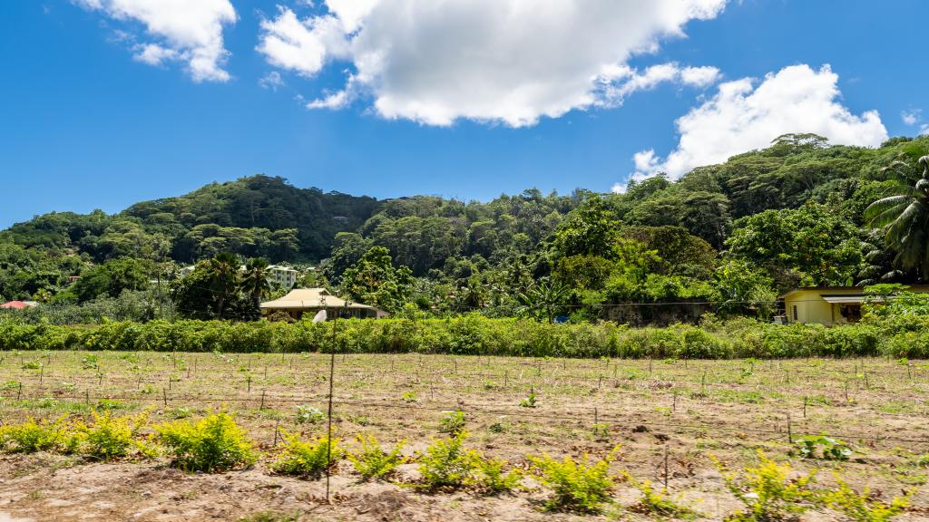 Photo 11: Kanasuk Self Catering Apartments - Mahé (Seychelles)