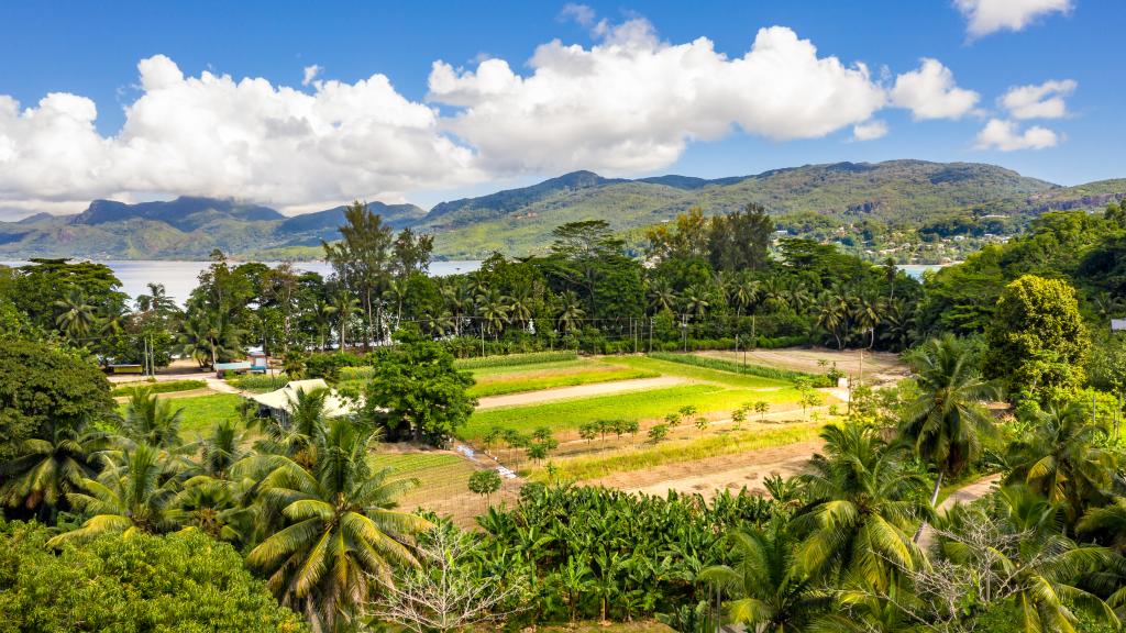 Photo 3: Kanasuk Self Catering Apartments - Mahé (Seychelles)