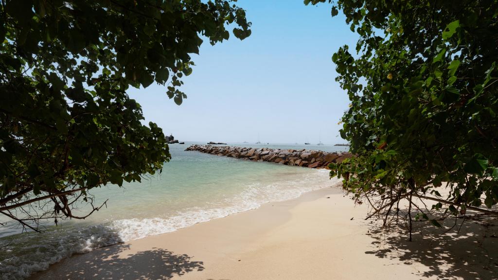 Photo 22: Chez Marston - La Digue (Seychelles)