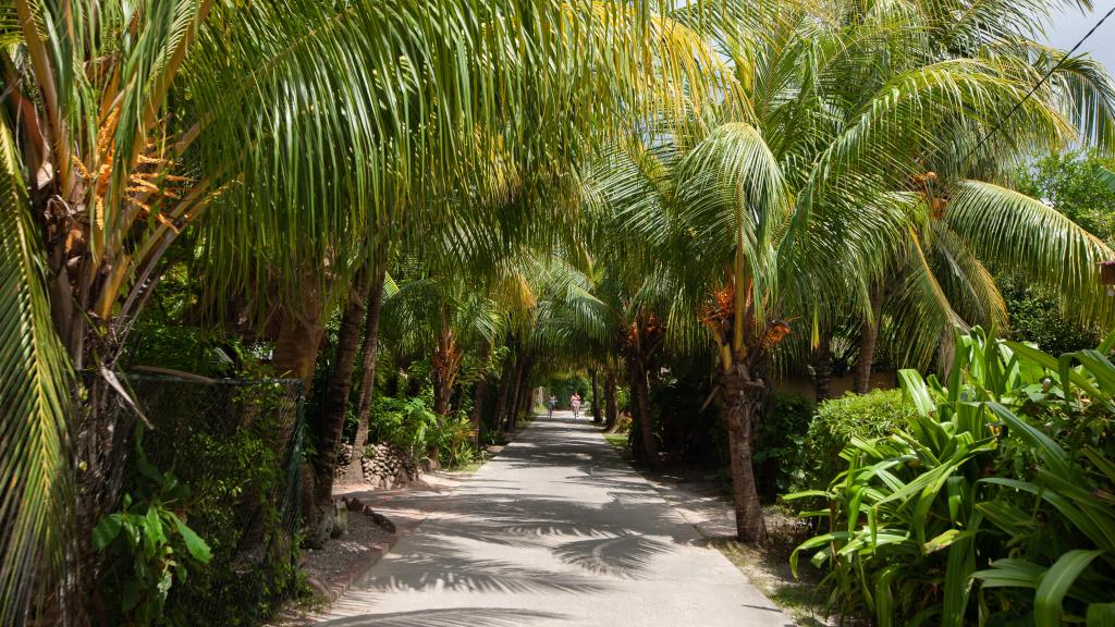 Photo 33: Chez Marston - La Digue (Seychelles)
