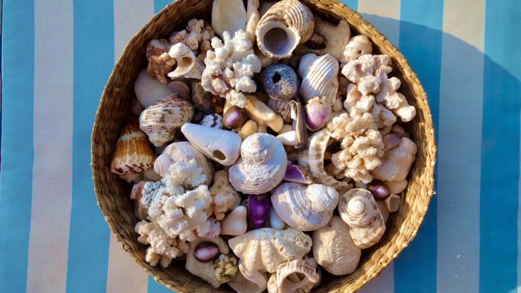 Foto 45: Luxury Villa Sea Monkey - Mahé (Seychelles)