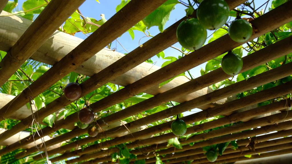 Foto 44: Luxury Villa Sea Monkey - Mahé (Seychelles)