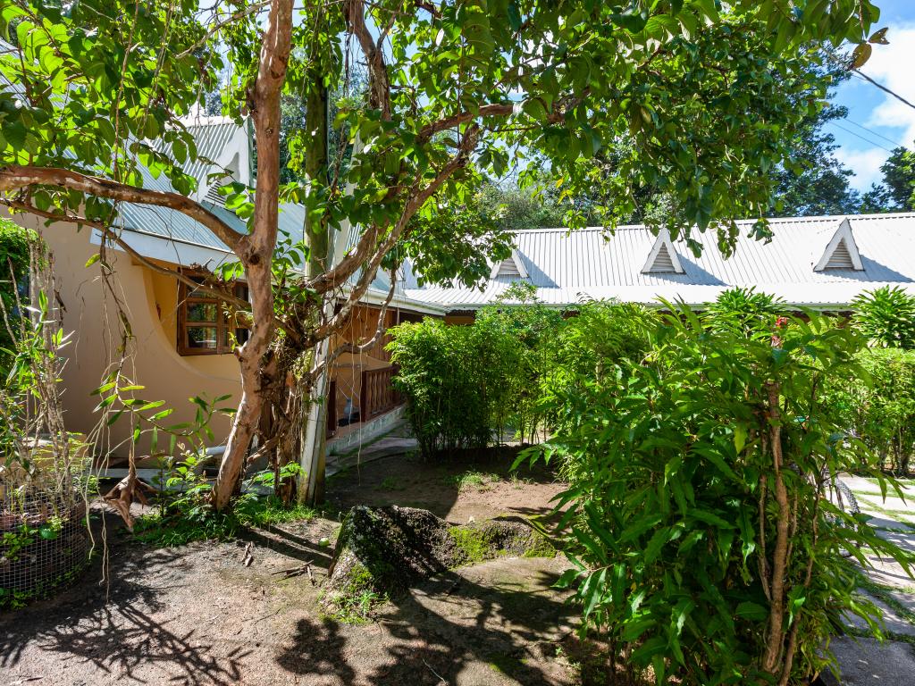 Bernique Guesthouse - Foto 8