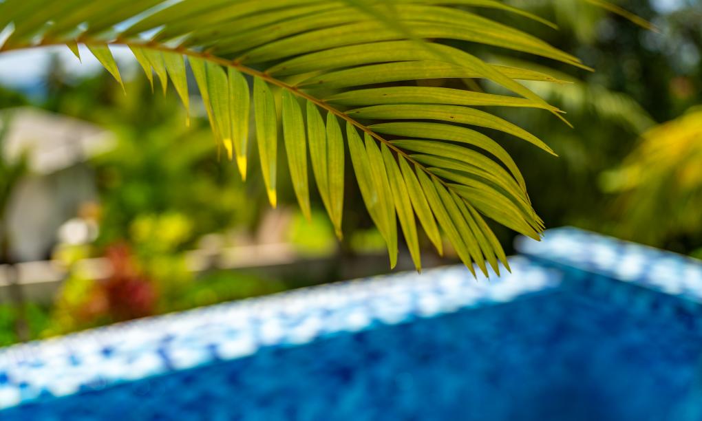 Moulin Kann Villas - Villa 1 Chambre piscine privée