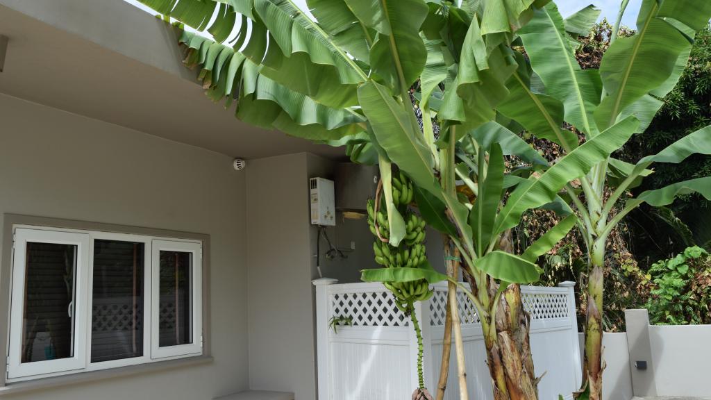 Foto 20: Moulin Kann Villas - Mahé (Seychelles)