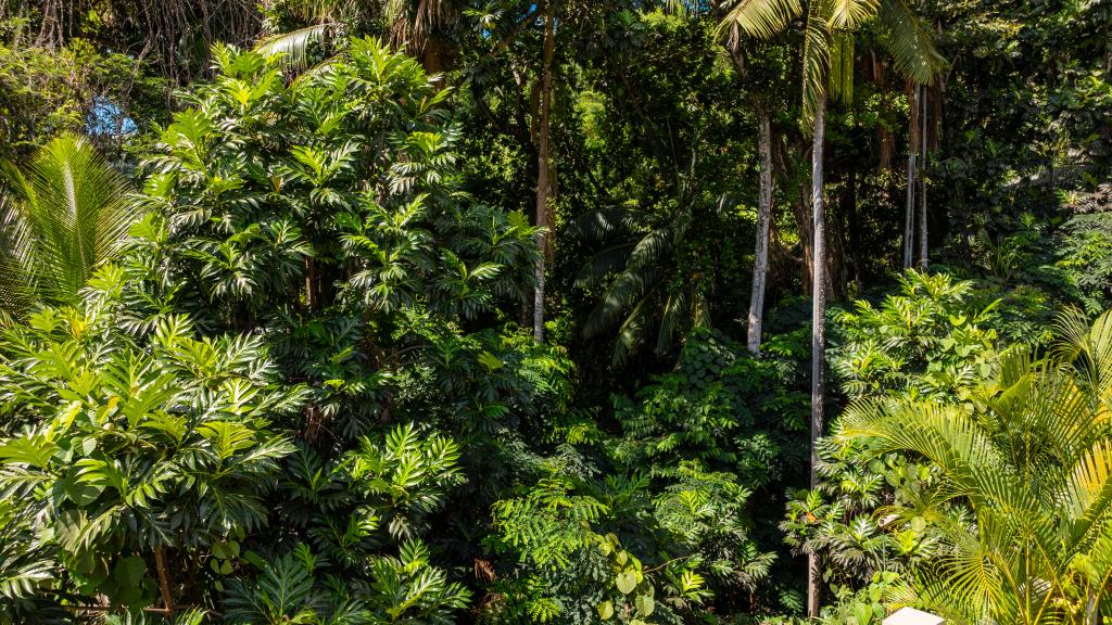 Photo 56: Moulin Kann Villas - Mahé (Seychelles)