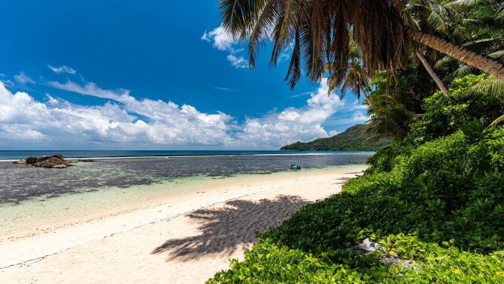 Photo 40: Moulin Kann Villas - Mahé (Seychelles)