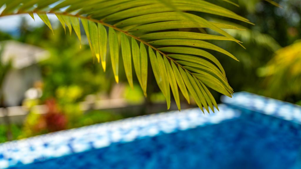 Foto 88: Moulin Kann Villas - Mahé (Seychellen)