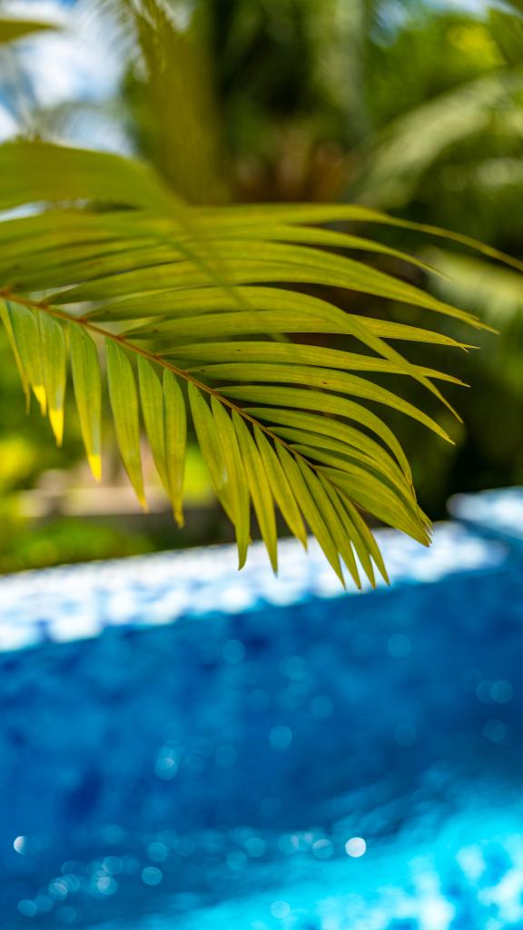 Foto 83: Moulin Kann Villas - Mahé (Seychelles)