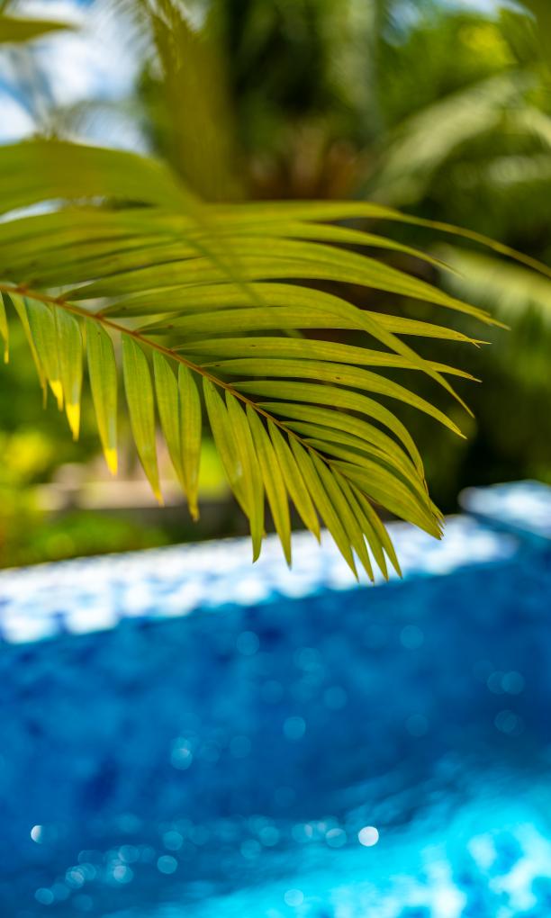 Moulin Kann Villas - Villa 1 Chambre piscine privée