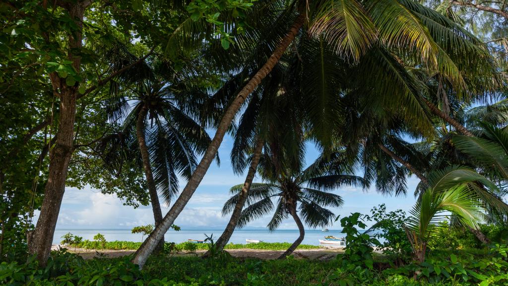 Foto 7: Hotel Plein Soleil - Praslin (Seychelles)