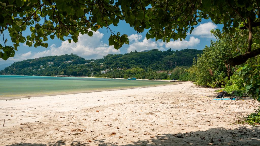 Photo 28: Creole Breeze Self Catering Apartments - Mahé (Seychelles)