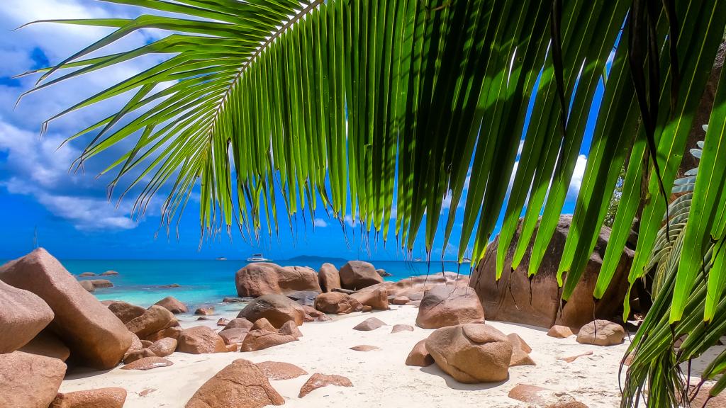 Photo 20: Dream Yacht Praslin Dream Premium - Seychelles (Seychelles)