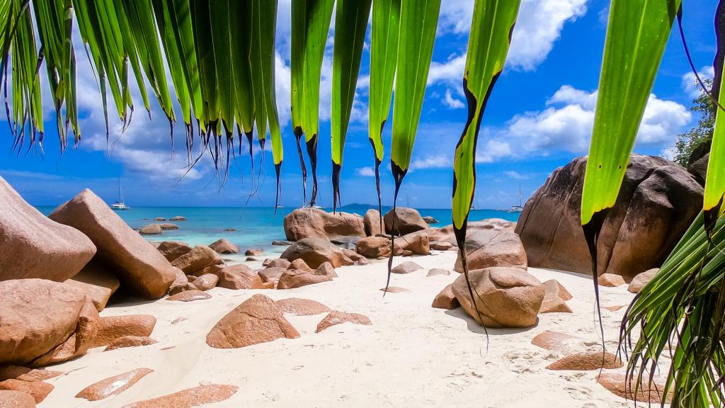 Photo 27: Dream Yacht Silhouette Dream Premium - Seychelles (Seychelles)