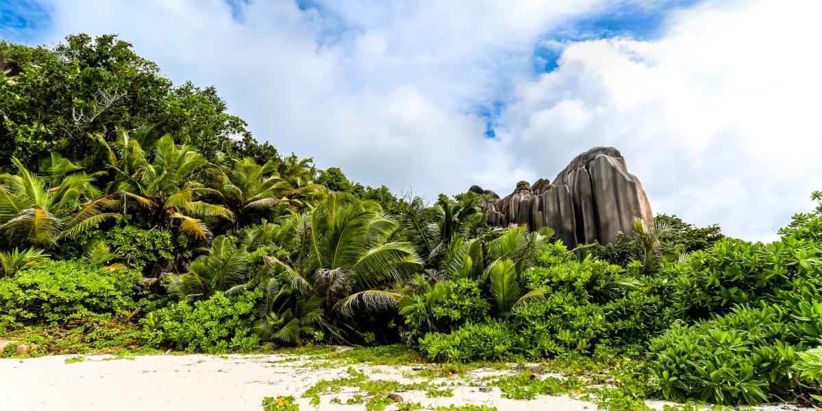 Dream Yacht Silhouette Dream Premium