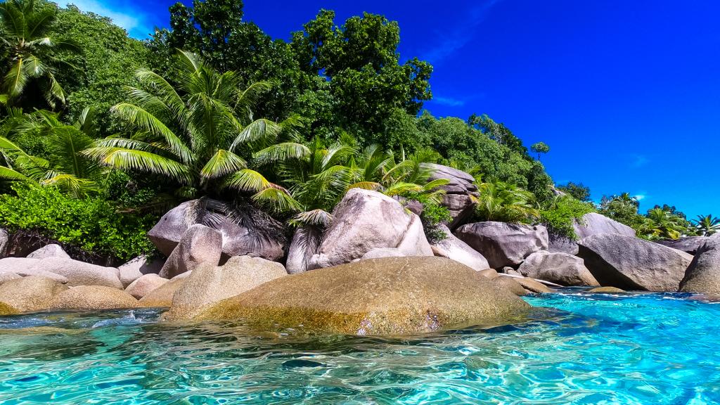 Photo 25: Dream Yacht Silhouette Dream - Seychelles (Seychelles)