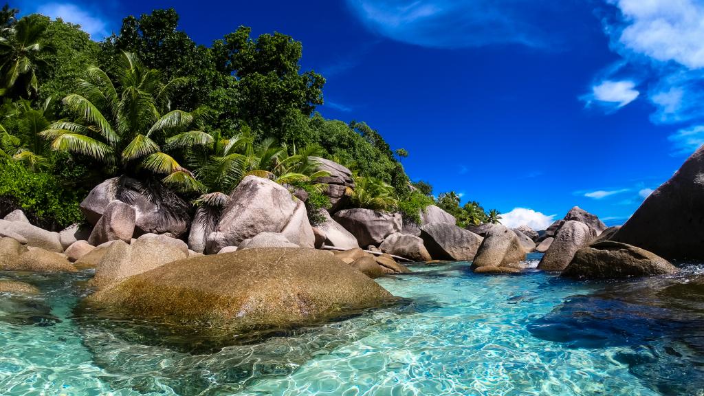 Photo 26: Dream Yacht Silhouette Dream - Seychelles (Seychelles)