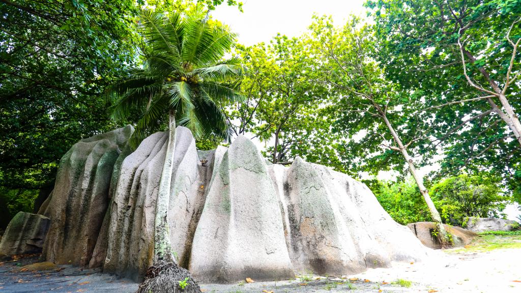 Photo 34: Dream Yacht Silhouette Dream - Seychelles (Seychelles)